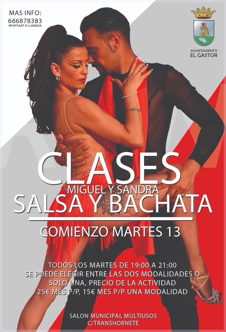 CLASES SALSA Y BACHATA . MIGUEL Y SANDRA