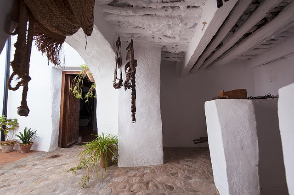 Fototeca05