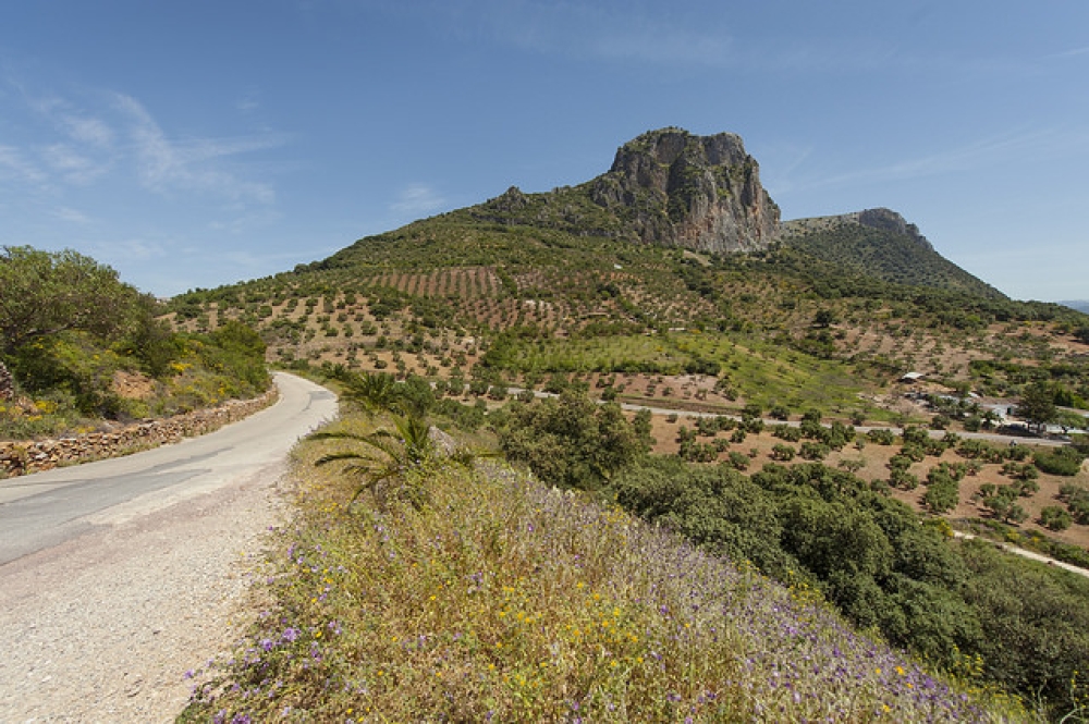 Fototeca03