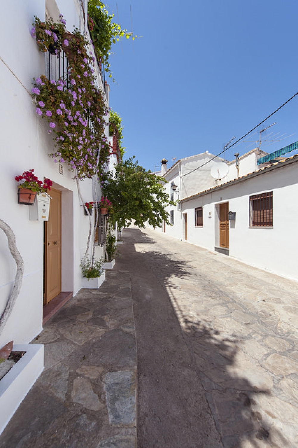 Fototeca16