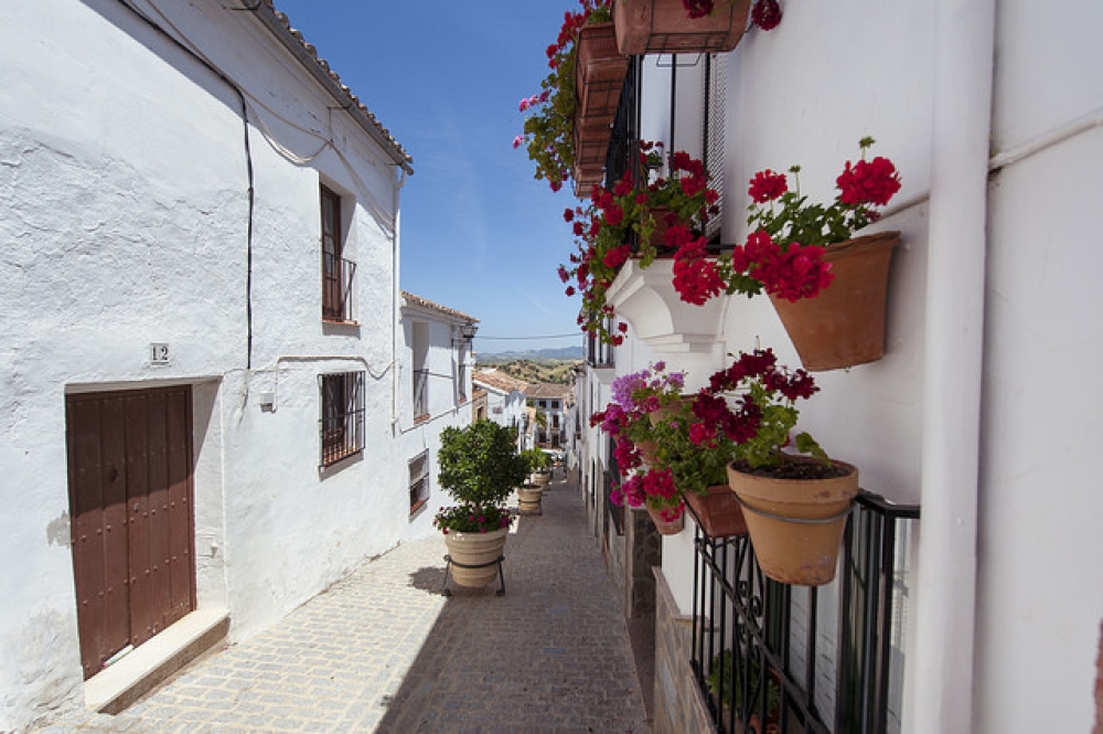 Fototeca28
