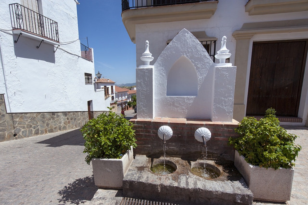 Fototeca29