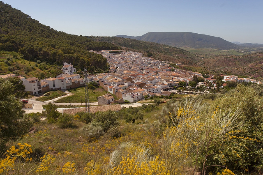 Fototeca01