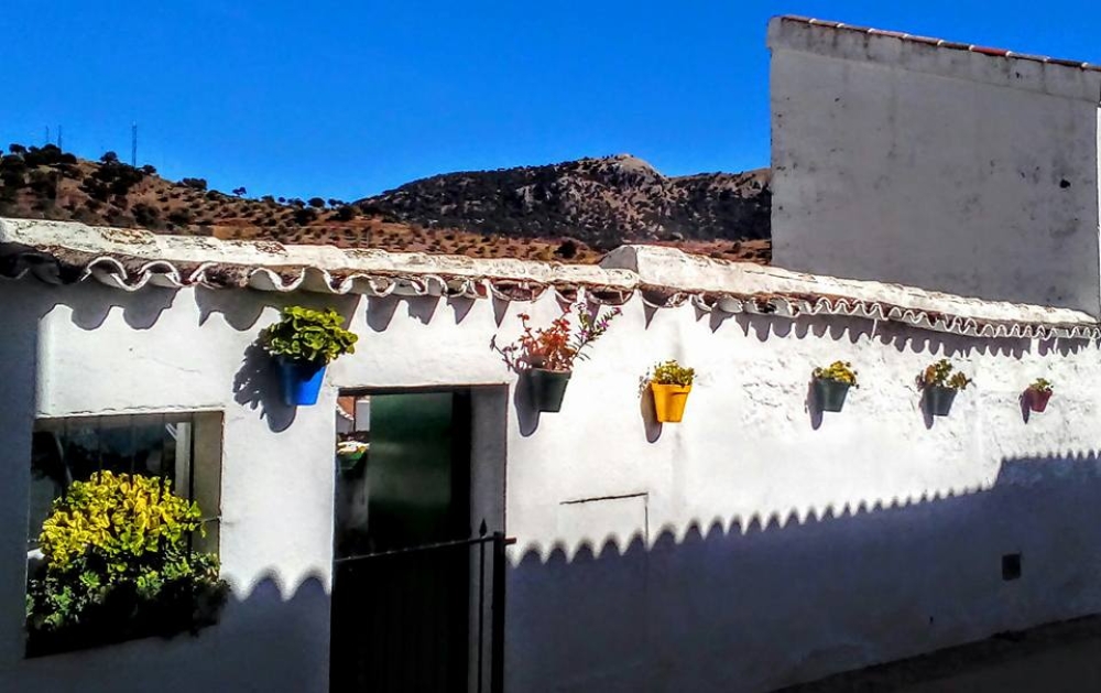 Fototeca043