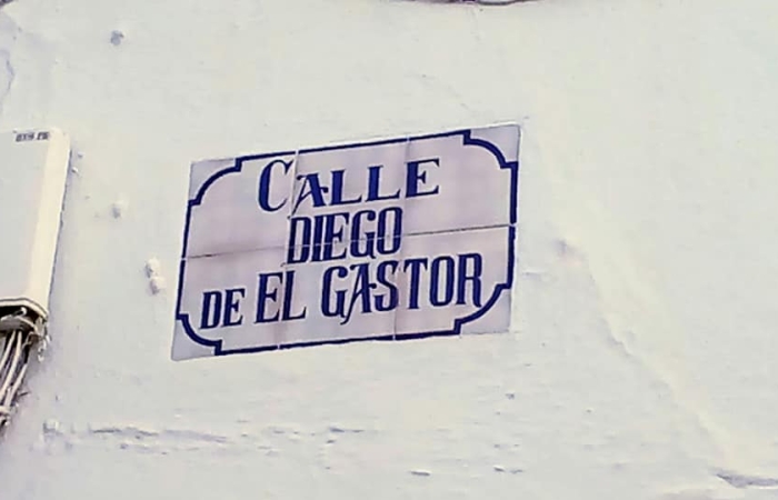 calle diego del gastor