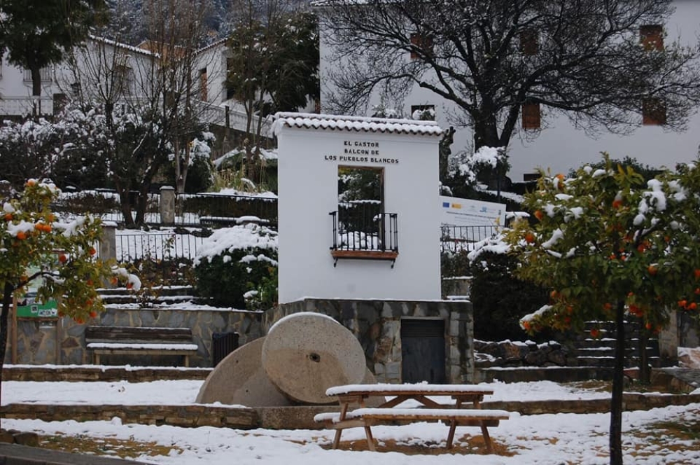 Fototeca39