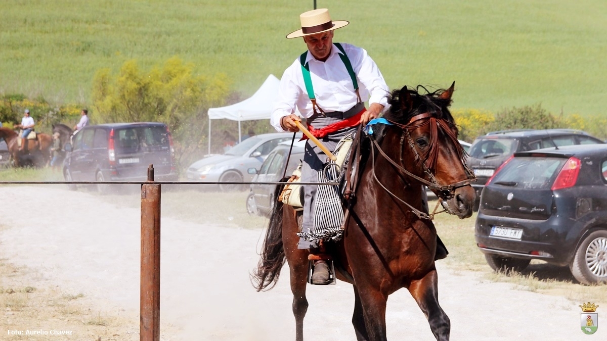 Romeria Ftima 08