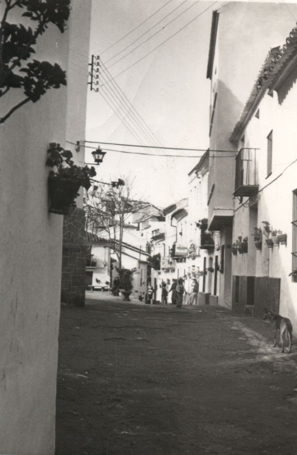 CFLD 010 EL Gastor