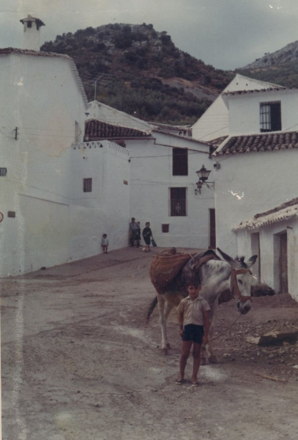 CFLD 017 EL Gastor