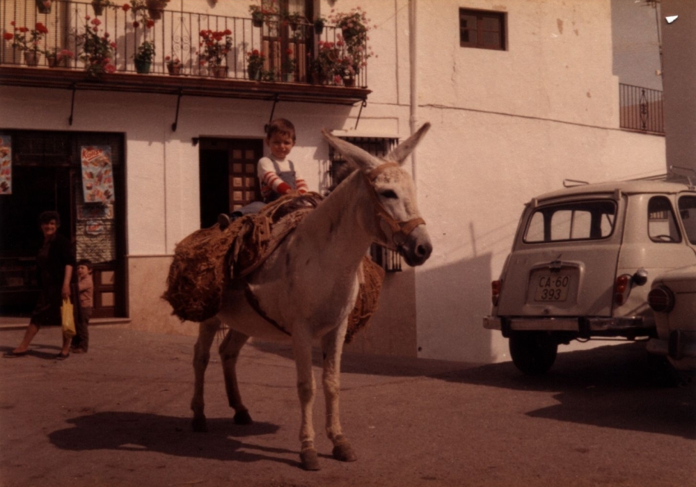 CFLD 043 EL Gastor