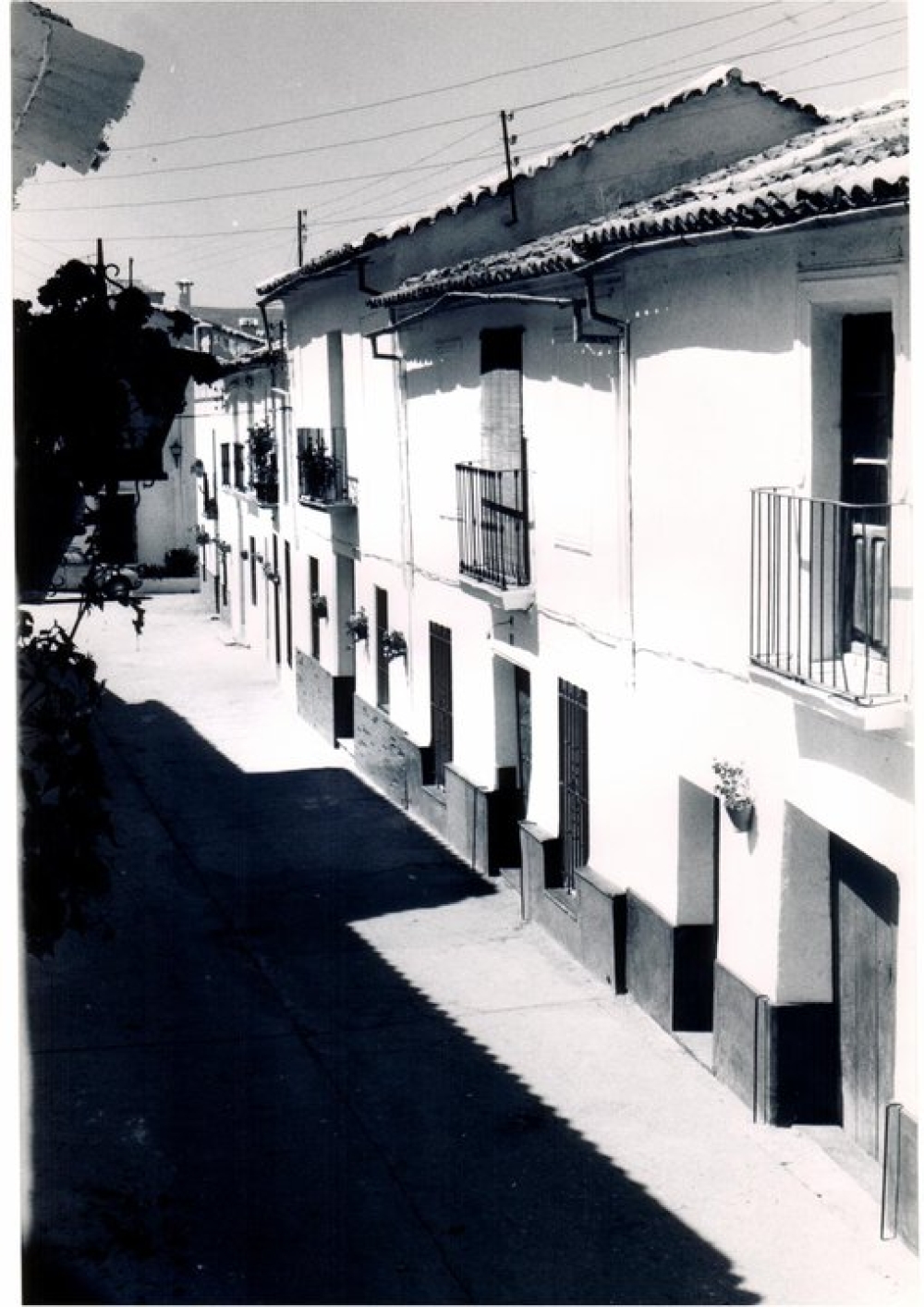 CFLD 052 EL Gastor
