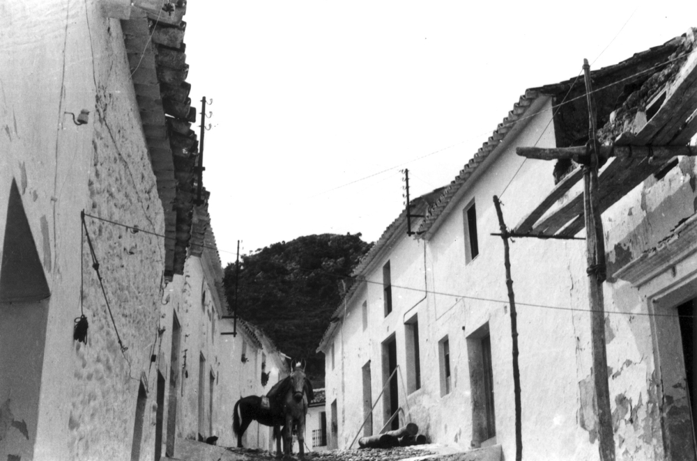 CFLD 071 EL Gastor
