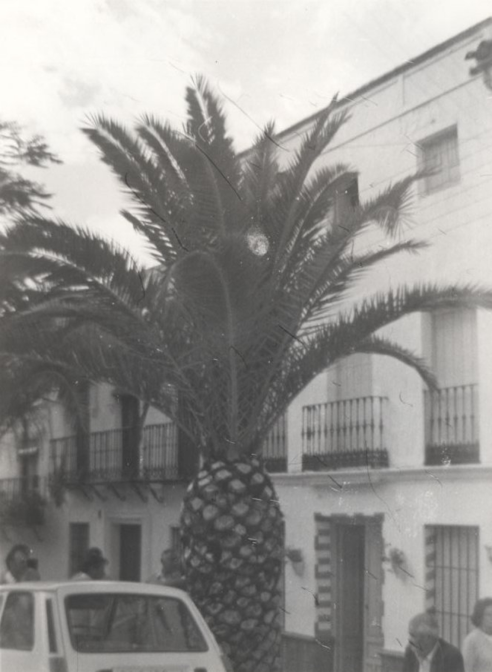 CFLD 084 EL Gastor
