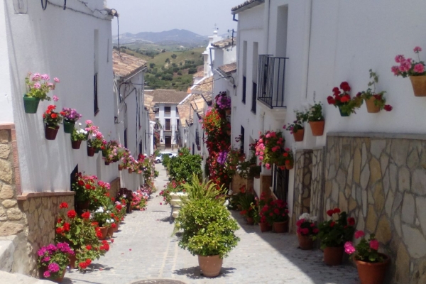 FOTO 09