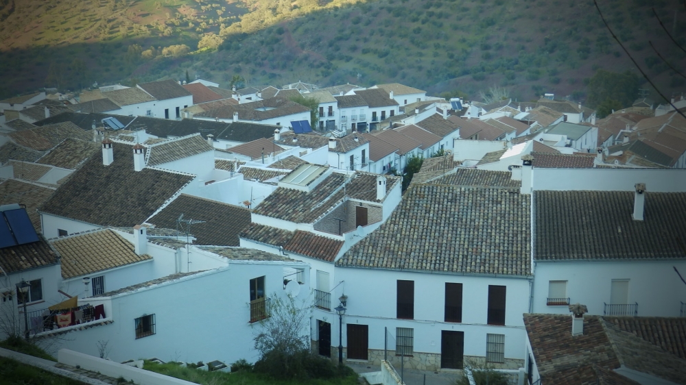 Fototeca041