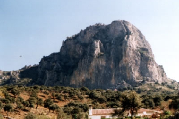 Algarín