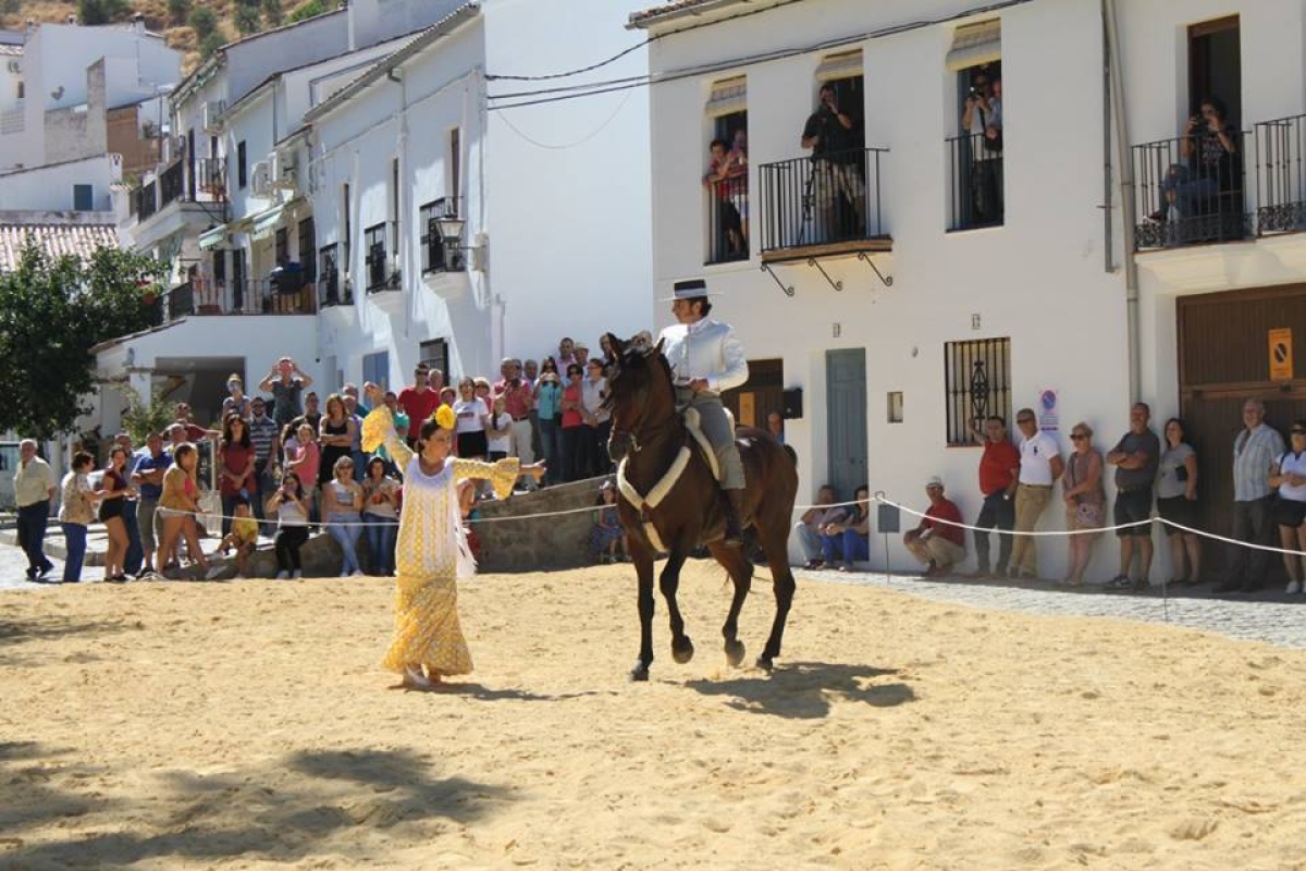 Foto Pequea6